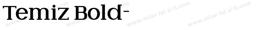 Temiz Bold字体转换